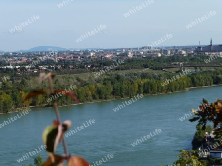 Blick vom Leopoldsberg auf Wien