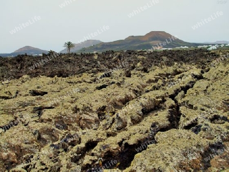 Lanzarote,Lava-Erde und Feuerberge