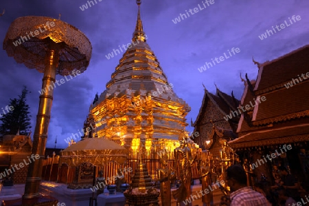 Der Chedi der Tempel Anlage des Wat Phra That Doi Suthep bei Chiang Mai in der Provinz Chiang Mai im Norden von Thailand in Suedostasien.