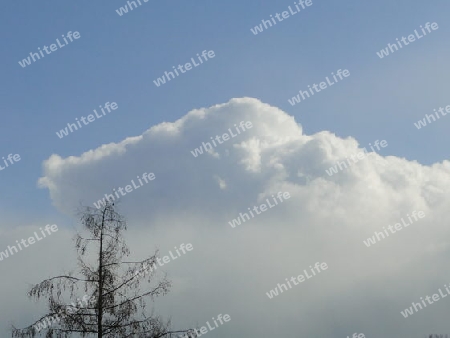 Wolken Figur