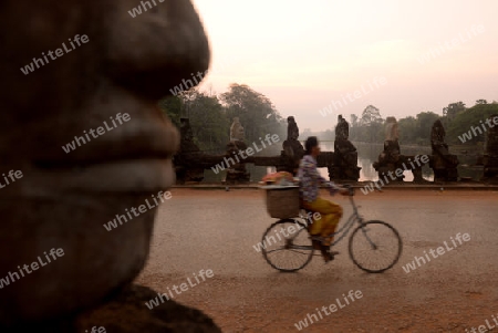 The Bridge at the Angkor Tom Gate in the Temple City of Angkor near the City of Siem Riep in the west of Cambodia.