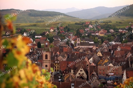 the olt town of the village of Riquewihr in the province of Alsace in France in Europe