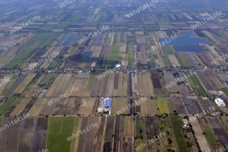 Die Landwirtschaft am rande der Stadt Bangkok in Thailand in Suedostasien.