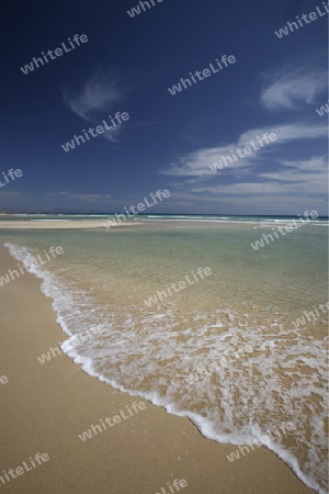 the Playa de Satovento de Jandia on the south of the Island Fuerteventura on the Canary island of Spain in the Atlantic Ocean.