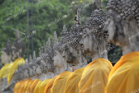 The Wat Yai Chai Mongkol Temple in City of Ayutthaya in the north of Bangkok in Thailand, Southeastasia.