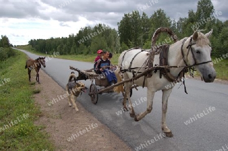 Pferd und Wagen