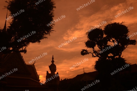 Der Wat Arun Tempel in der Stadt Bangkok in Thailand in Suedostasien.