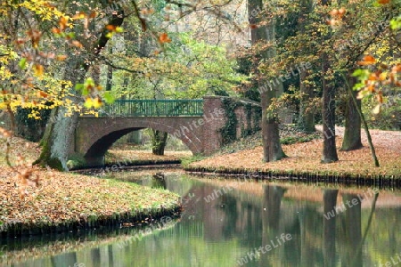 Br?cke im Herbst