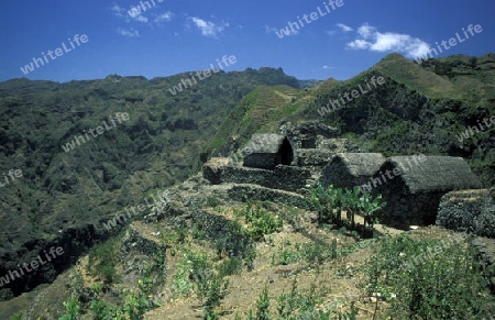 the  Village of Fontainas near  Ribeira Grande on the Island of Santo Antao in Cape Berde in the Atlantic Ocean in Africa.