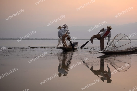 Fishermen at sunrise in the Landscape on the Inle Lake in the Shan State in the east of Myanmar in Southeastasia.