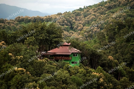 Ein Gasthaus oder Hotel im Regenwald beim Dorf Fang noerdlich von Chiang Mai im Norden von Thailand. 