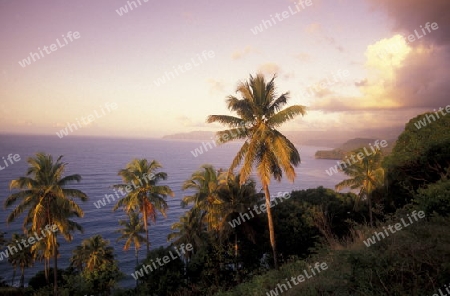 the landscape on the coast of the village Moya on the Island of Anjouan on the Comoros Ilands in the Indian Ocean in Africa.   