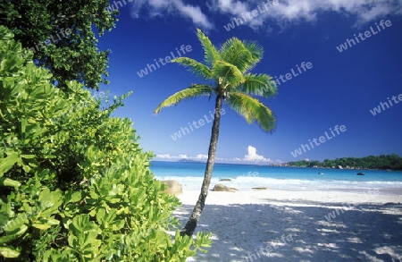 Ein Traumstrand auf der Insel La Digue der Inselgruppe Seychellen im Indischen Ozean in Afrika.