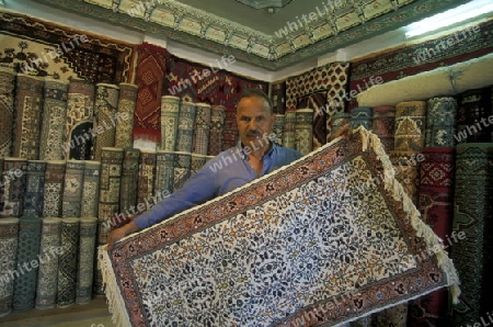 Ein Teppich Haendler auf dem Souq oder Markt in der Altstadt oder Medina von Sousse am Mittelmeer  in Tunesien in Nordafrika. 