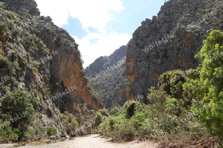 Schlucht Wandern Mallorca 