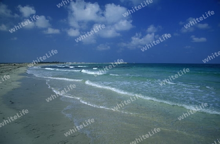 Ein Sandstrand auf der Insel Jierba im Sueden von Tunesien in Nordafrika.