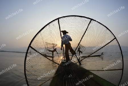 Fishermen at sunrise in the Landscape on the Inle Lake in the Shan State in the east of Myanmar in Southeastasia.