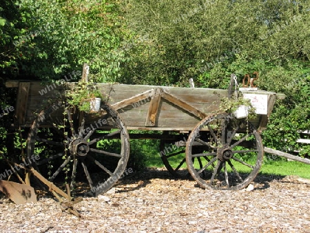 Alter Pferdewagen in Lüneburger Heide