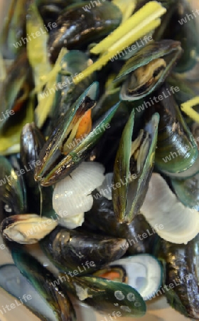 Miesmuscheln in einem Seafood Restaurant in der Hauptstadt Phuket Town auf der Insel Phuket im sueden von Thailand in Suedostasien.