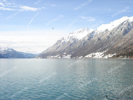 Wasser,Berge,Winter