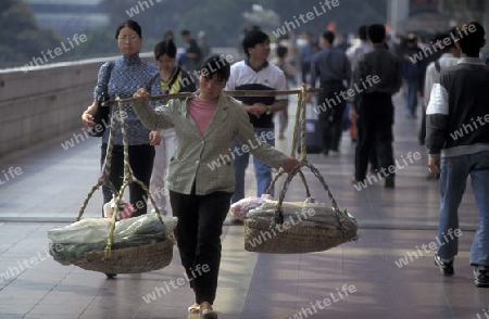 people in a market street in the city of Shenzhen north of Hongkong in the province of Guangdong in china in east asia. 