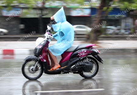 Ein Motorrad auf einer Strasse bei Regenwetter in Chiang Mai in der Provinz Chiang Mai im Norden von Thailand in Suedostasien.