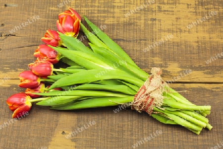 Tulpenstrauss auf Holzhintergrund