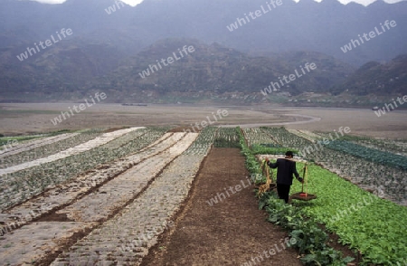 agroculture in the village of fengjie at the yangzee river in the three gorges valley up of the three gorges dam project in the province of hubei in china.