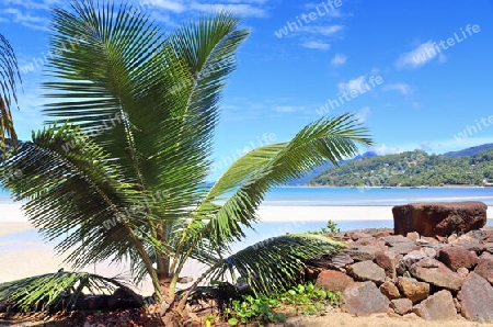 Sunny day beach view on the paradise islands Seychelles.