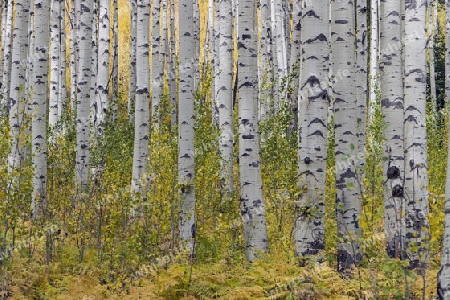 Rocky Mountains, Colorado