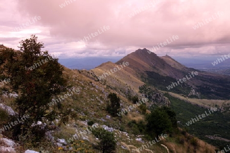 Die Landschaft ueber dem Ufer des Skadar See oder Skadarsko Jezero bei Murici in Montenegro in Europa. 