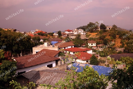 Das Zentrum des alten Bergdorf Mae Salong in der Huegellandschaft noerdlich von Chiang Rai in der Provinz Chiang Rai im Norden von Thailand in Suedostasien.