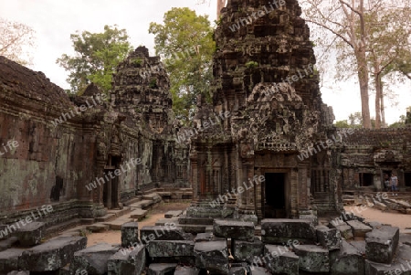 The Temple of  Ta Prohm in the Temple City of Angkor near the City of Siem Riep in the west of Cambodia.