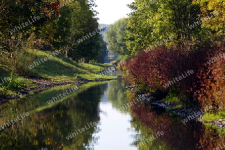 bach im herbst