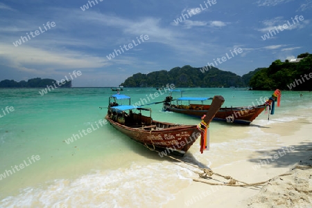 A Beach on the Island of Ko PhiPhi on Ko Phi Phi Island outside of the City of Krabi on the Andaman Sea in the south of Thailand. 