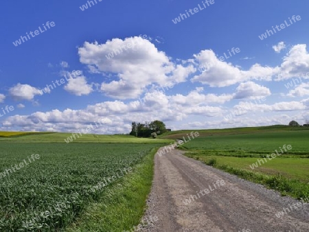 Weg - Landkreis F?rstenfeldbruck, Bayern