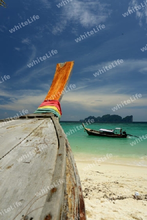 A Beach on the Island of Ko PhiPhi on Ko Phi Phi Island outside of the City of Krabi on the Andaman Sea in the south of Thailand. 