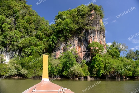 The mangroves at a lagoon near the City of Krabi on the Andaman Sea in the south of Thailand. 