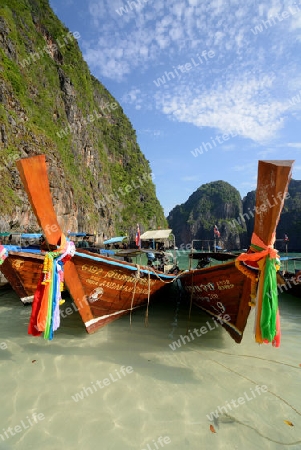 The Maya Beach  near the Ko Phi Phi Island outside of the City of Krabi on the Andaman Sea in the south of Thailand. 