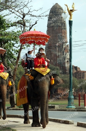 Ein Elephanten Taxi vor einem der vielen Tempel in der Tempelstadt Ayutthaya noerdlich von Bangkok in Thailand. 