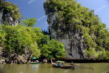 The mangroves at a lagoon near the City of Krabi on the Andaman Sea in the south of Thailand. 