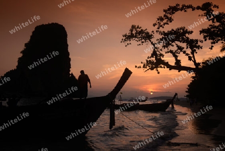 The Hat Phra Nang Beach at Railay near Ao Nang outside of the City of Krabi on the Andaman Sea in the south of Thailand. 