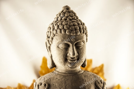 Budda Head