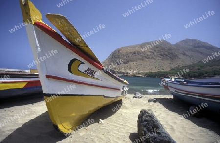 the Beach of Tarrafel in the north of the Island Santiago on Cape Verde in the Atlantic Ocean in Africa.