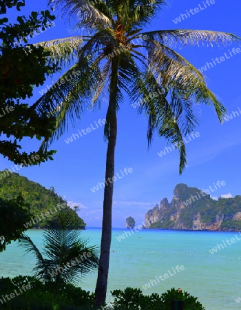 Insel Phi-Phi