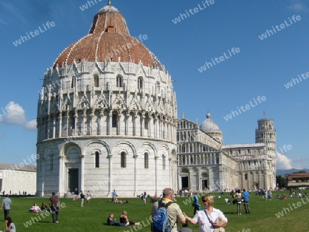 Pisa