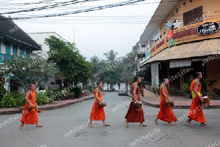 Moenche am fruehen Morgen beim einsammeln von Reis in der Altstadt von Luang Prabang in Zentrallaos von Laos in Suedostasien. 