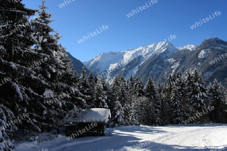 Winterzauber  Neukirchen