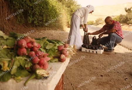 A Farmer Shop on the road near the City of Salt in Jordan in the middle east.