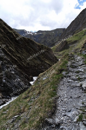 Wildental, Tuxertal, Oesterreich